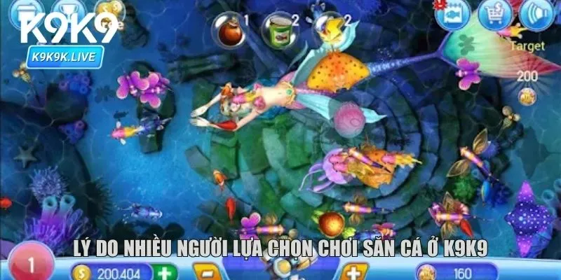 Lý do nhiều người lựa chọn chơi săn cá ở K9K9