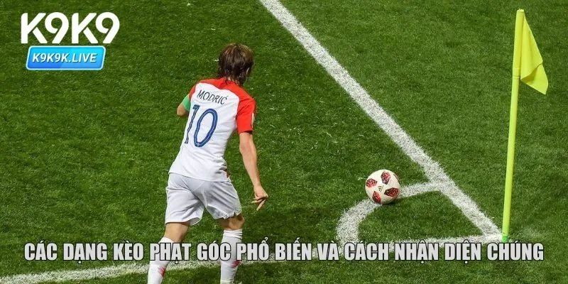 Các dạng kèo phạt góc phổ biến và cách nhận diện chúng