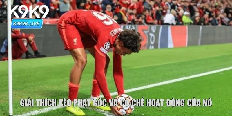 Giải thích kèo phạt góc và cơ chế hoạt động của nó