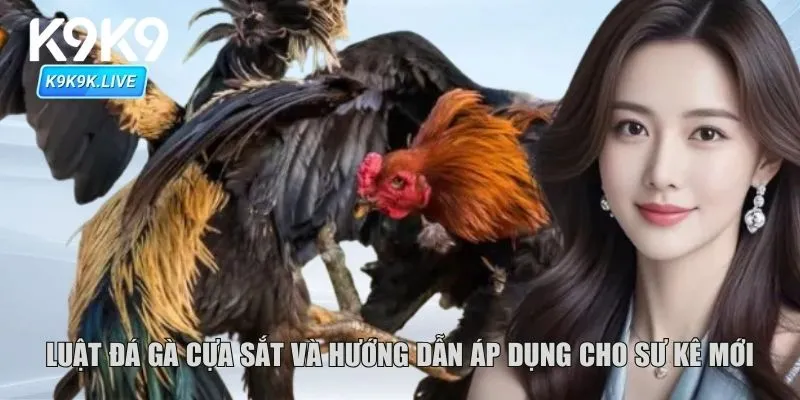 Luật đá gà cựa sắt